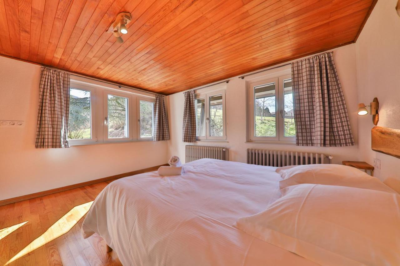 Locations Des 3 Sommets Avec Sauna Et Spa En Alsace Sondernach Exterior photo