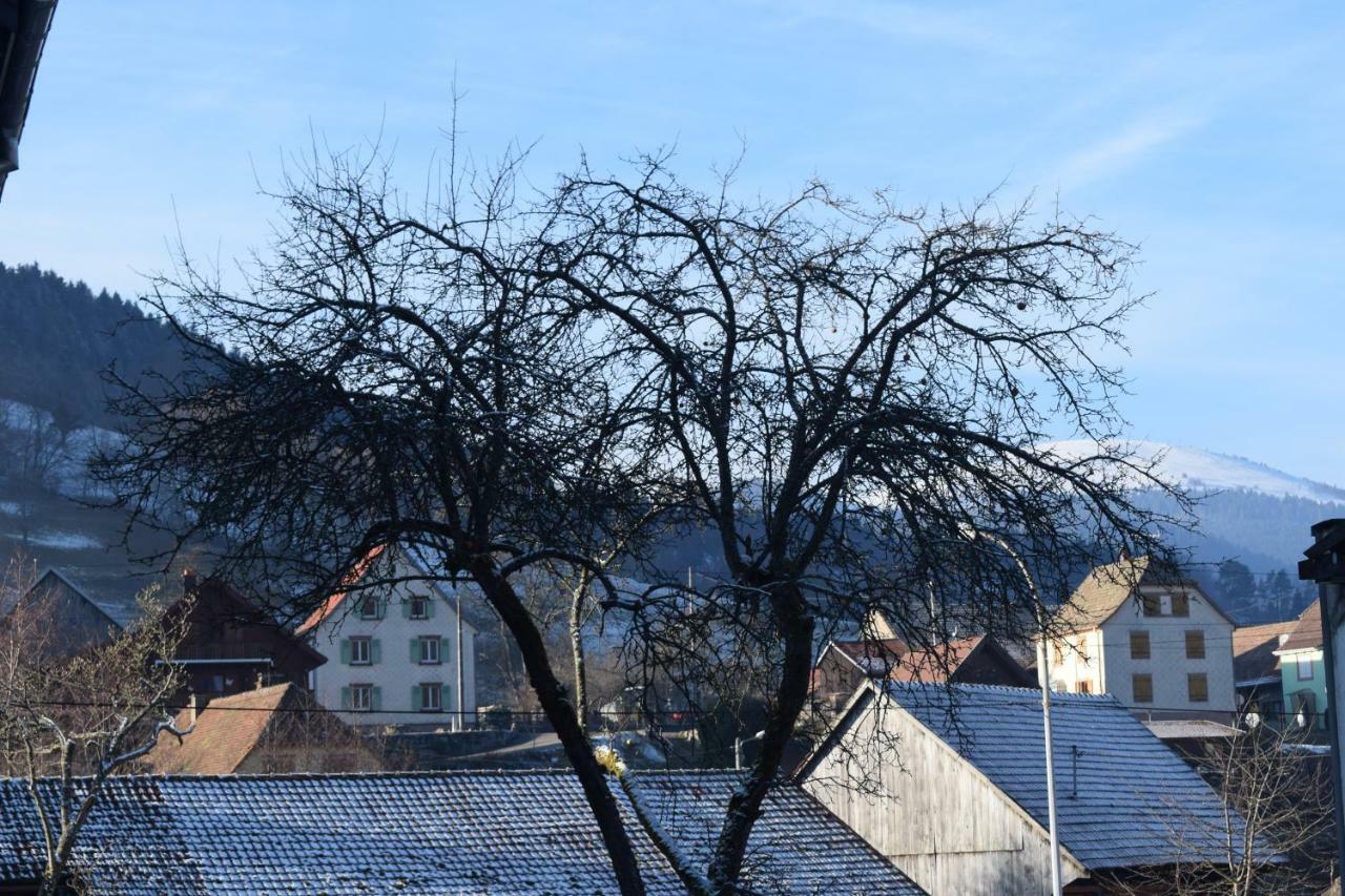 Locations Des 3 Sommets Avec Sauna Et Spa En Alsace Sondernach Exterior photo