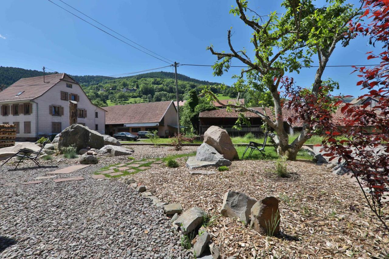 Locations Des 3 Sommets Avec Sauna Et Spa En Alsace Sondernach Exterior photo